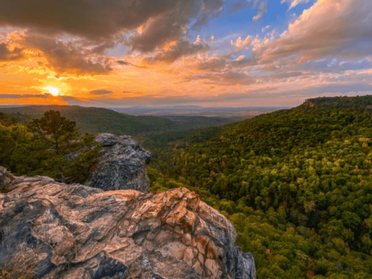 Rooted in Arkansas: A State of Natural Strength - WYR