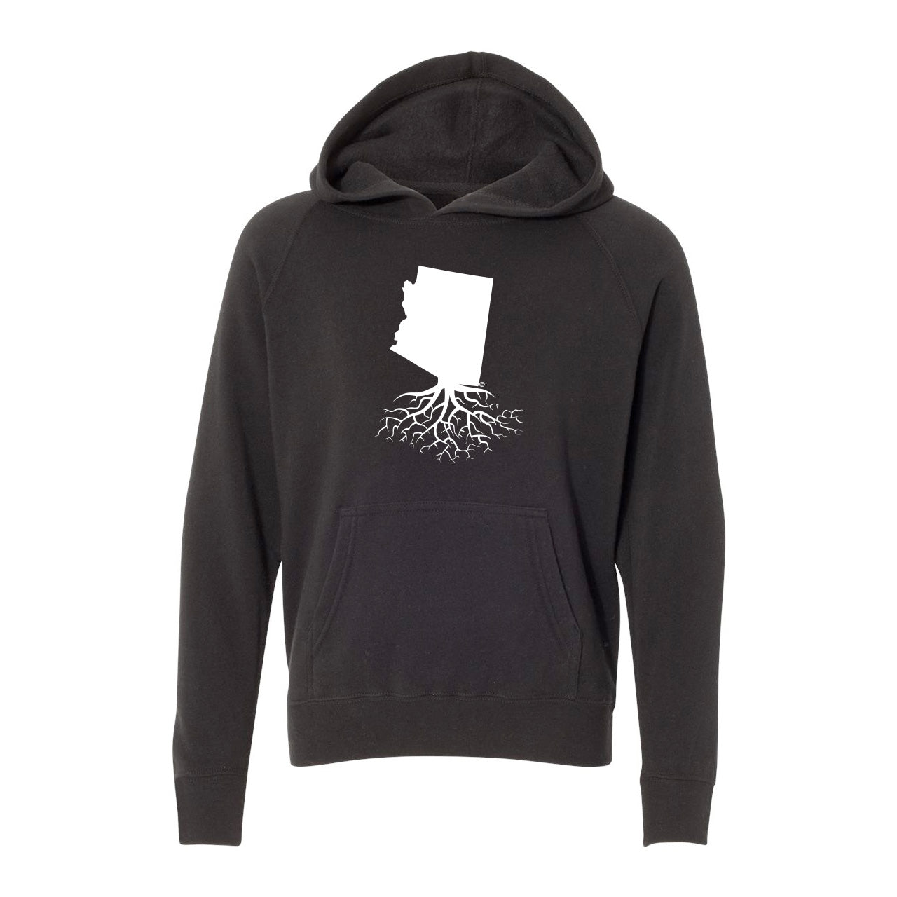 Arizona Youth Lightweight Hoodie - WYR