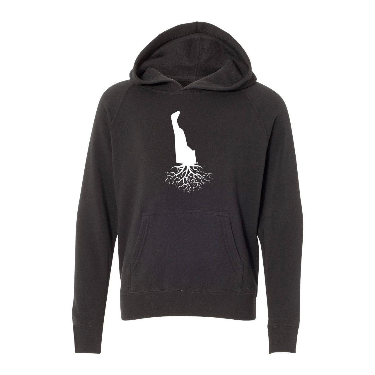 Delaware Youth Lightweight Hoodie - WYR