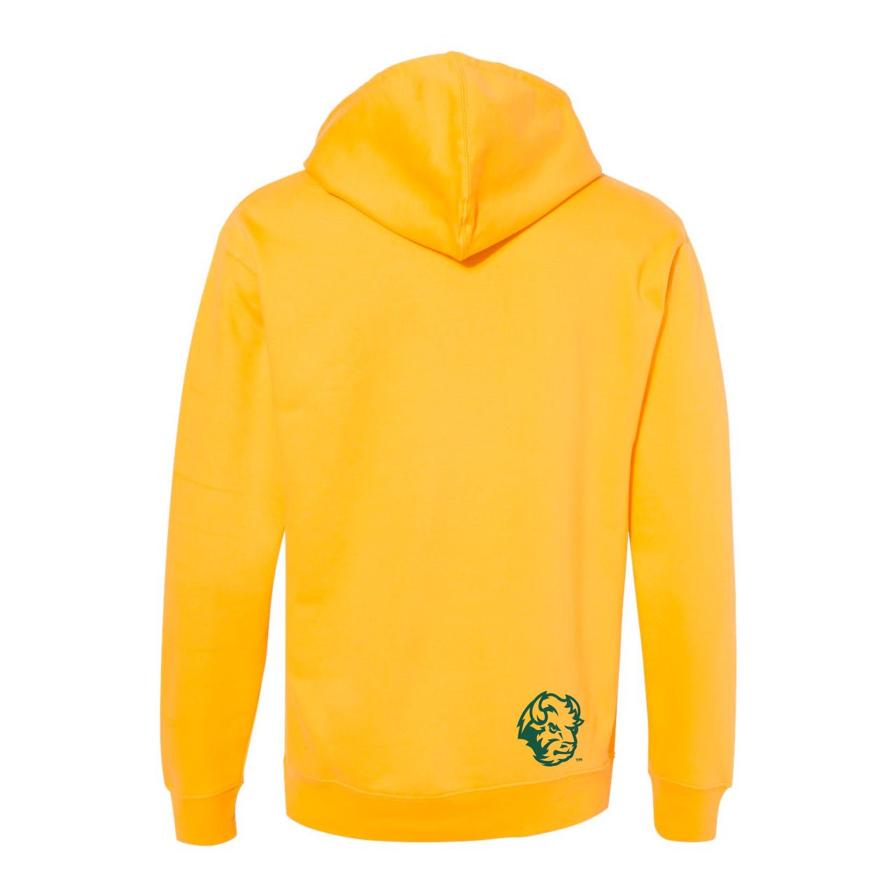 NDSU Bison Roots Hoodie - WYR
