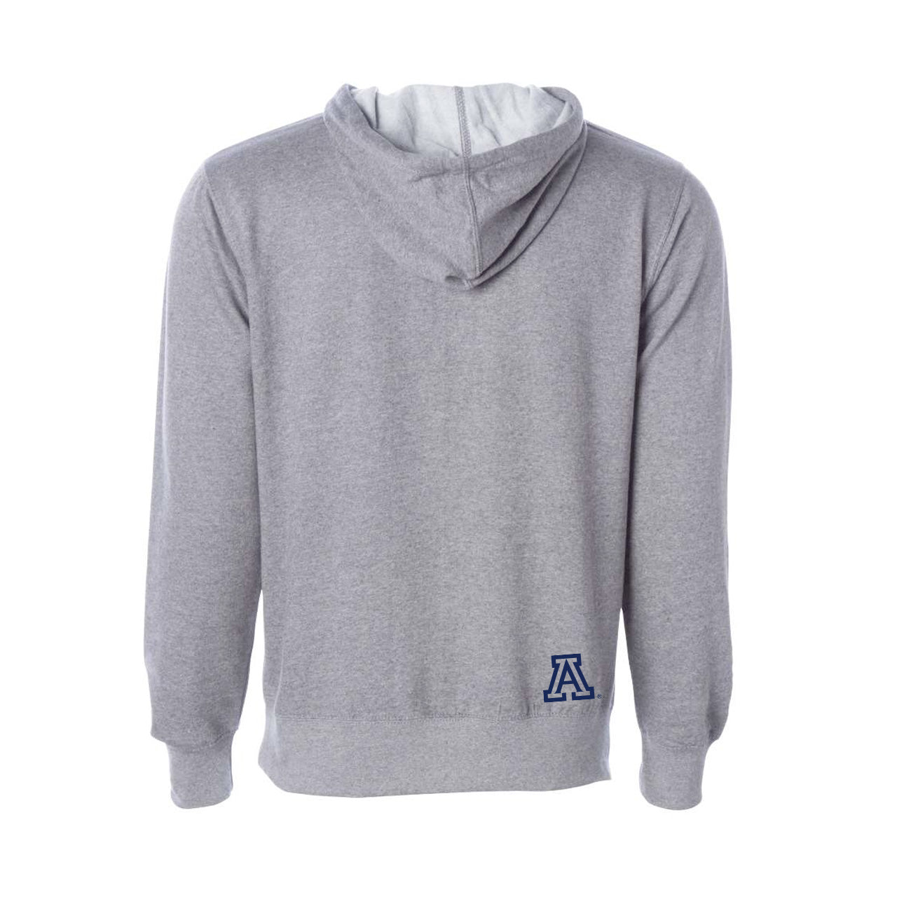 UofA Wildcat Cactus Landscape Hoodie - WYR