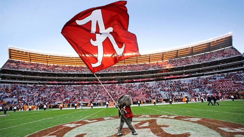 State Spotlight: Alabama – Southern Roots, Bold Pride - WYR