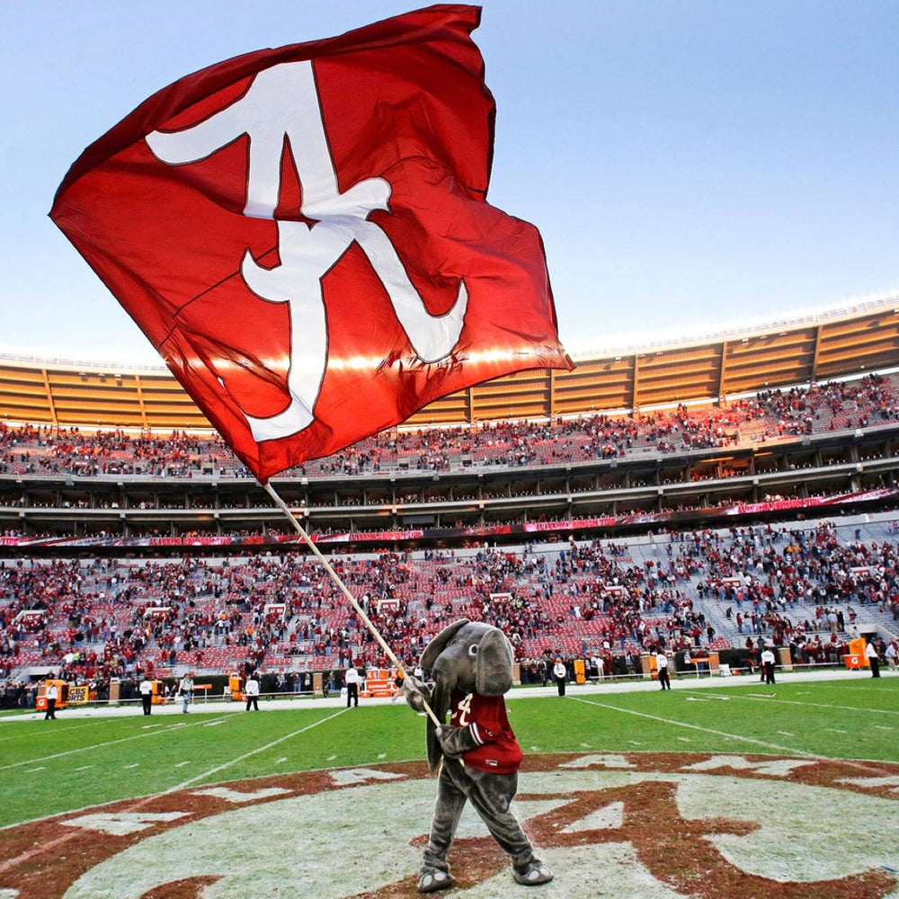State Spotlight: Alabama – Southern Roots, Bold Pride - WYR