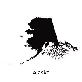 THE ALASKA COLLECTION - WYR