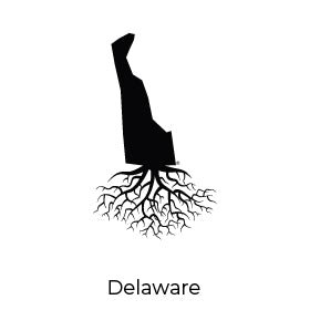 THE DELAWARE COLLECTION - WYR