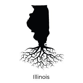 THE ILLINOIS COLLECTION - WYR