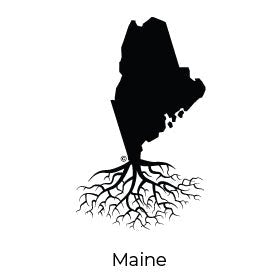 THE MAINE COLLECTION - WYR