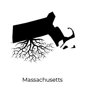 THE MASSACHUSETTS COLLECTION - WYR