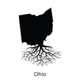 THE OHIO COLLECTION - WYR