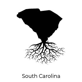 THE SOUTH CAROLINA COLLECTION - WYR