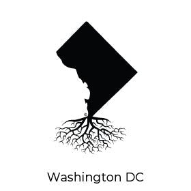 THE WASHINGTON DC COLLECTION - WYR