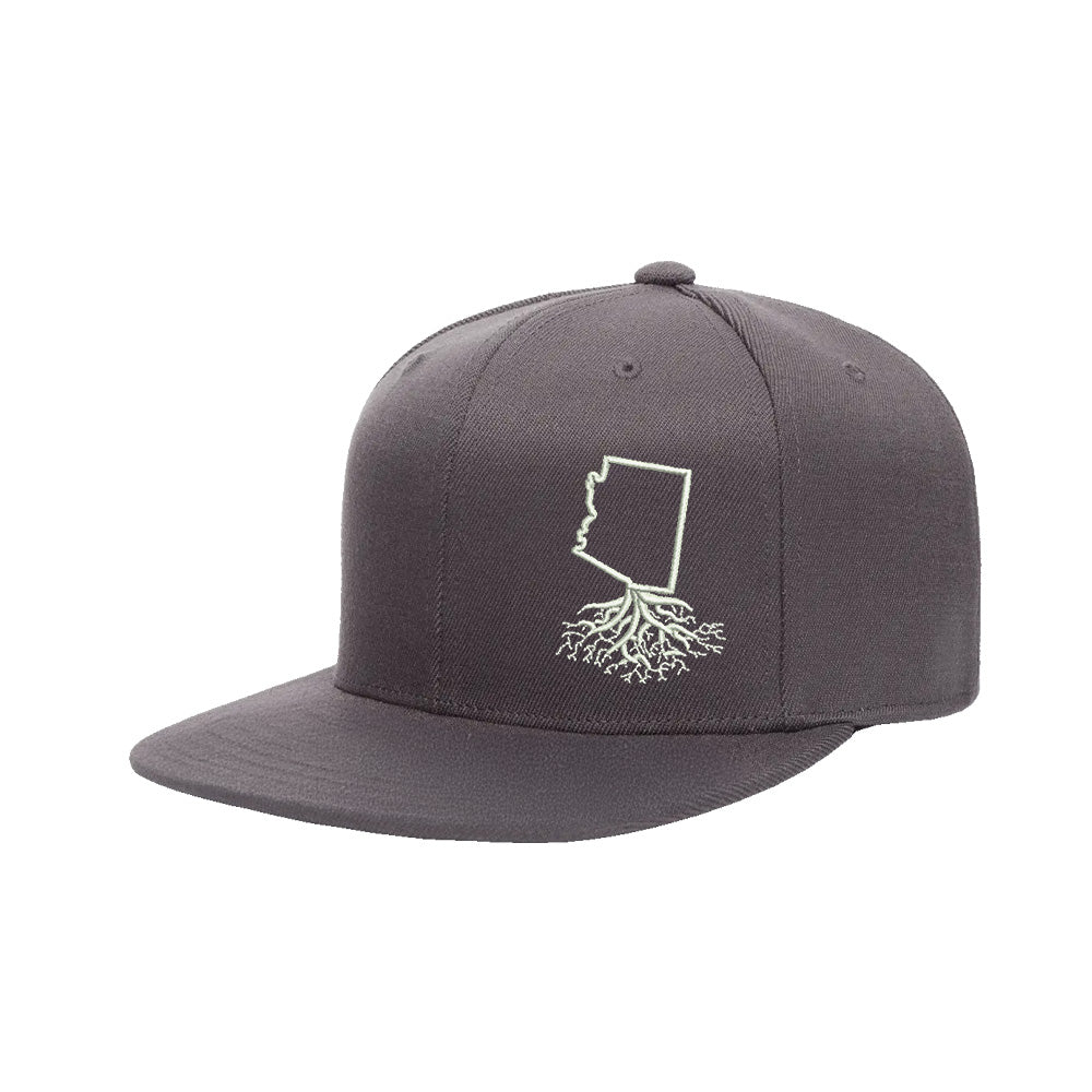 Arizona FlexFit Snapback - WYR