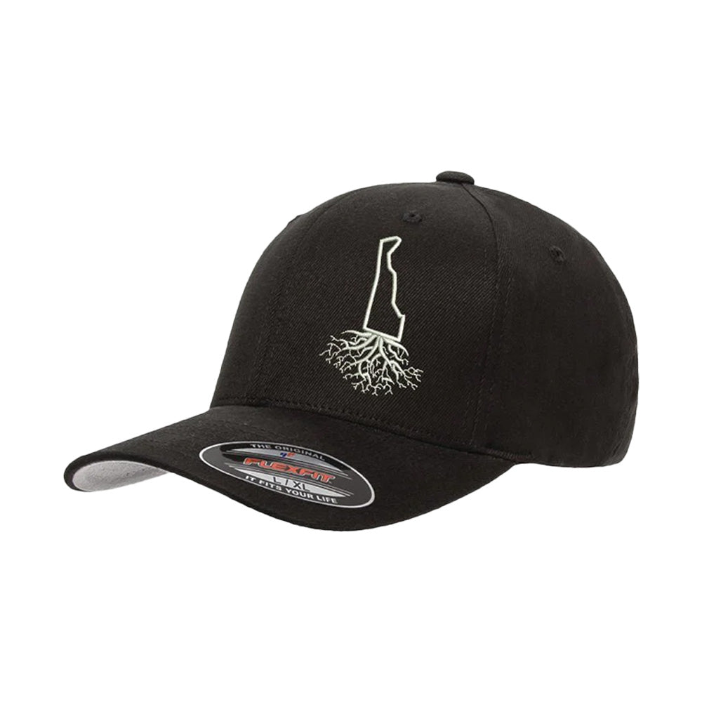 Delaware Roots Structured Flexfit Hat - WYR