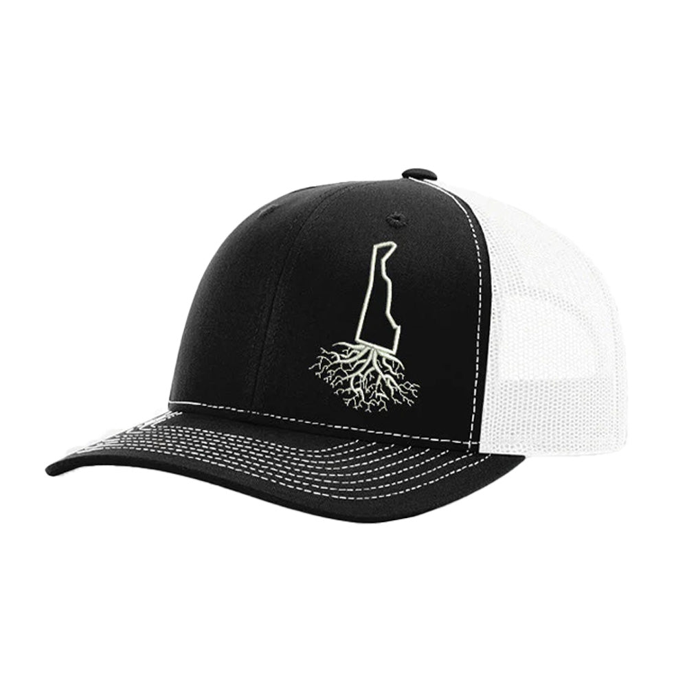 Delaware Snapback Trucker - WYR