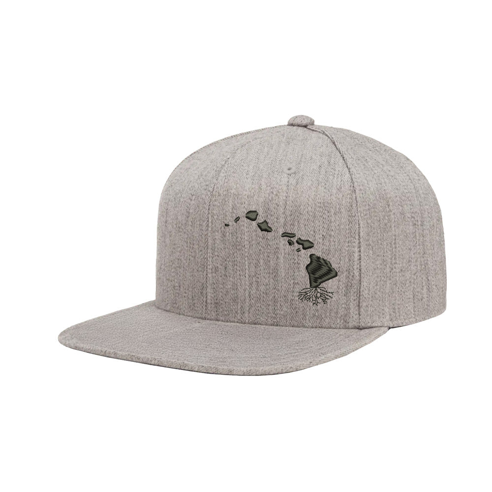 Hawaii FlexFit Snapback - WYR