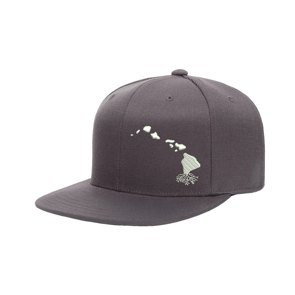 Hawaii FlexFit Snapback - WYR