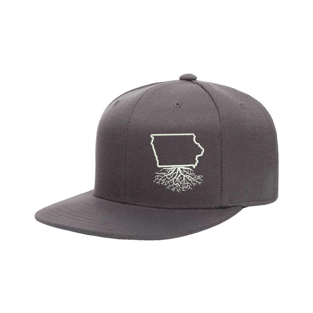 Iowa FlexFit Snapback - WYR