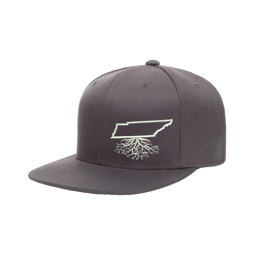 Tennessee FlexFit Snapback - WYR