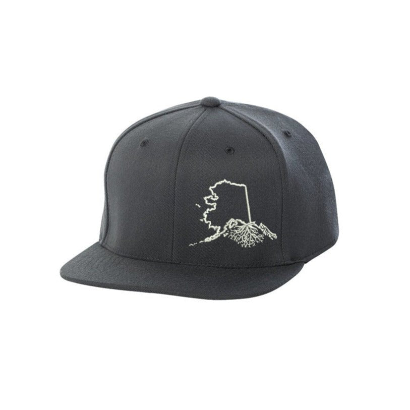 Alaska FlexFit Snapback - Hats
