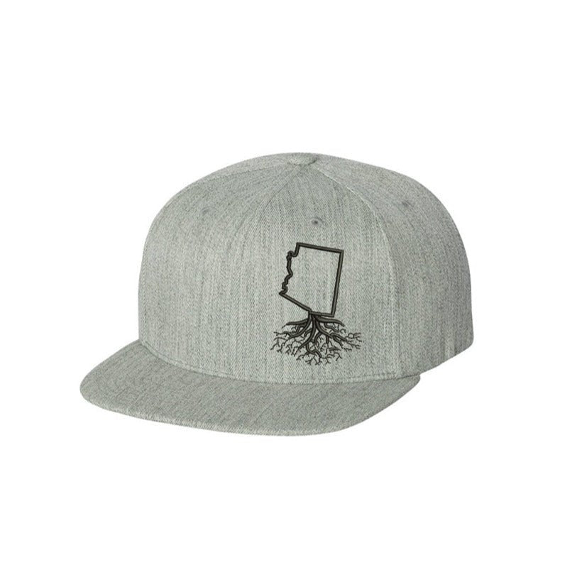 Arizona FlexFit Snapback - Hats