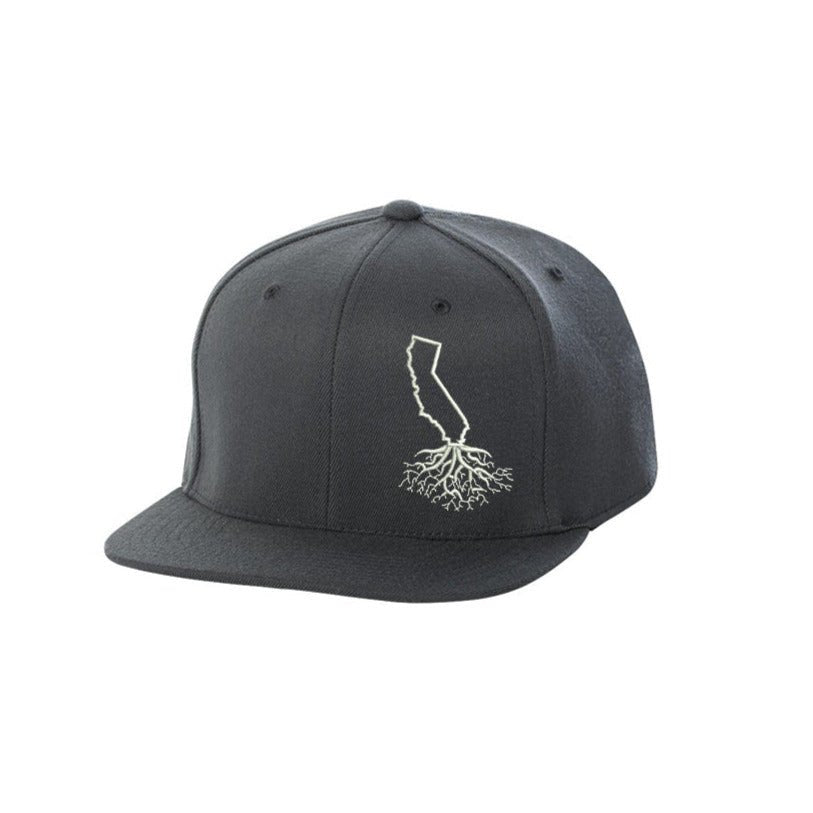 California FlexFit Snapback - Hats