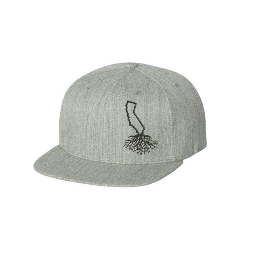 California FlexFit Snapback - Hats