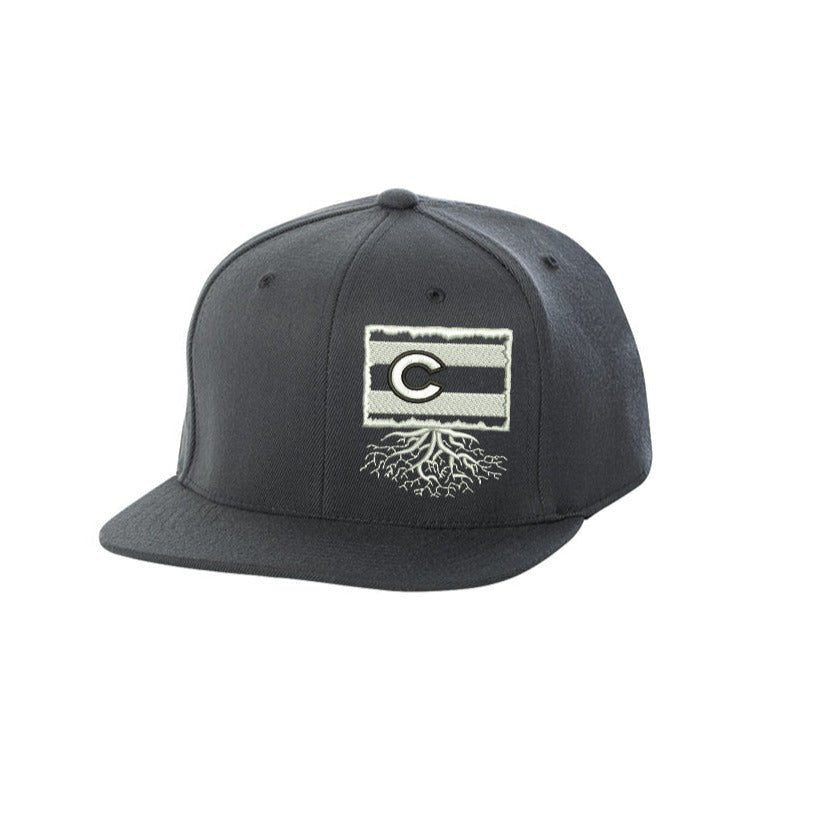 Colorado FlexFit Snapback - Hats