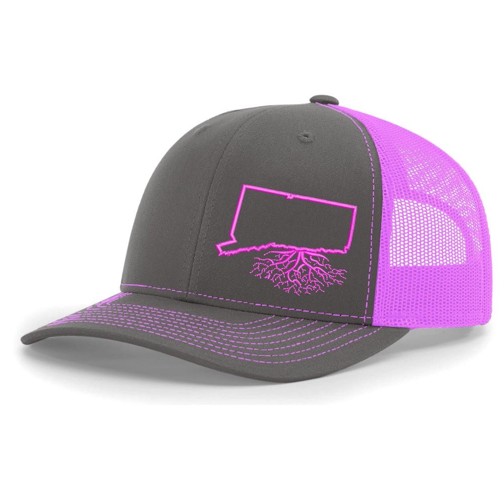 
                  
                    Connecticut Snapback Trucker - Hats
                  
                