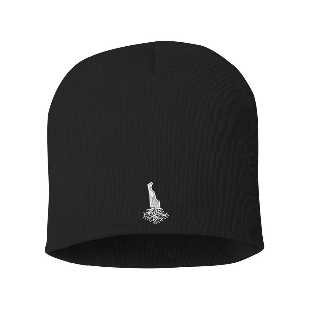 Delaware Beanie - WYR