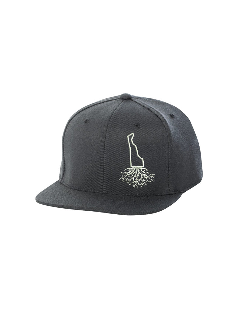 Delaware FlexFit Snapback - Hats