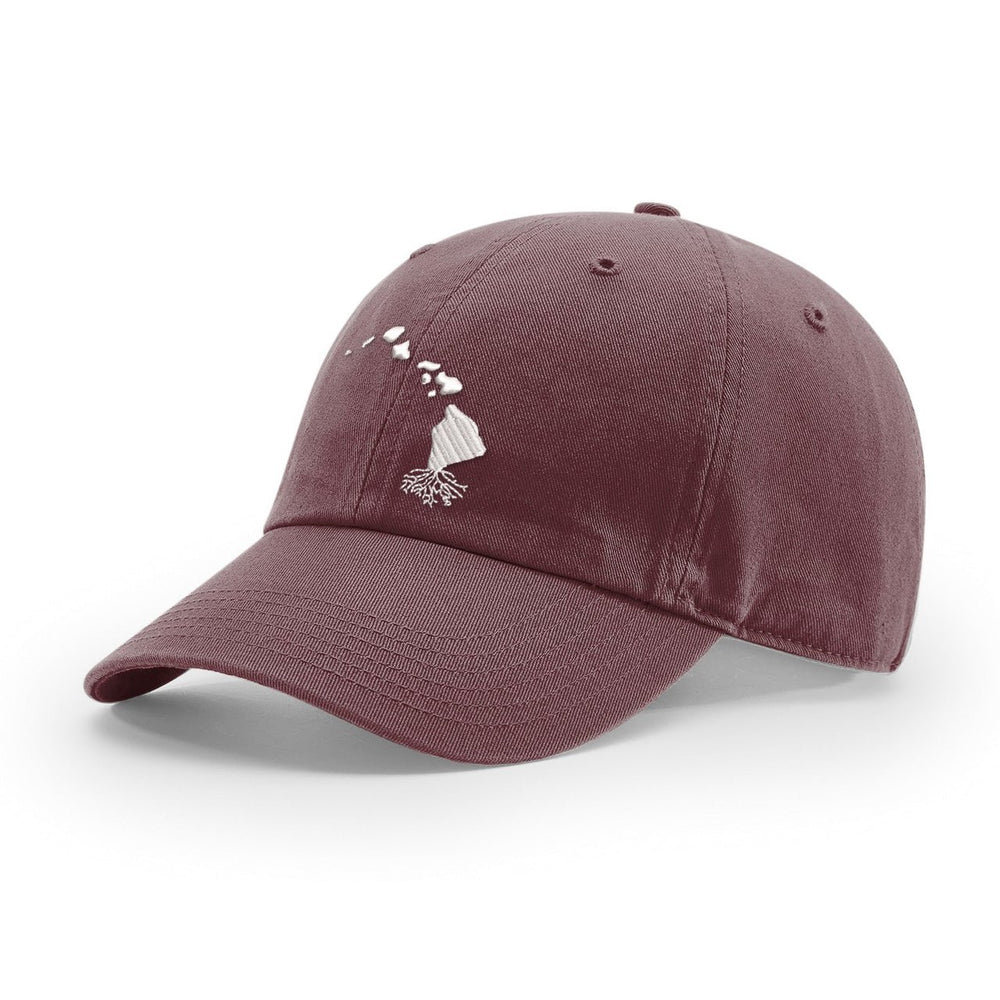 Hawaii Dad Hat - WYR