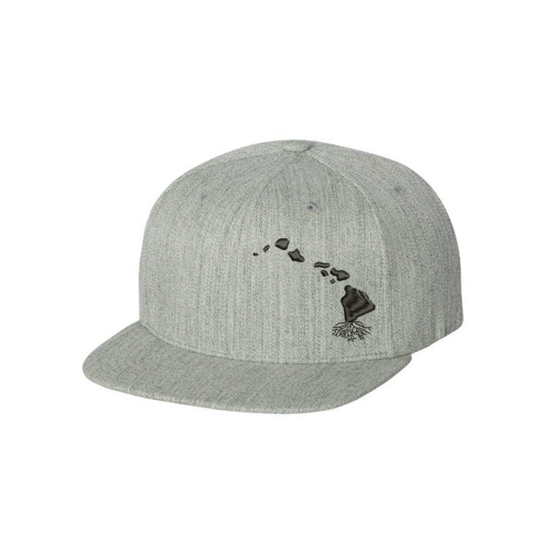 Hawaii FlexFit Snapback - Hats