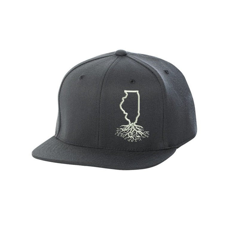 
                  
                    Illinois FlexFit Snapback - Hats
                  
                