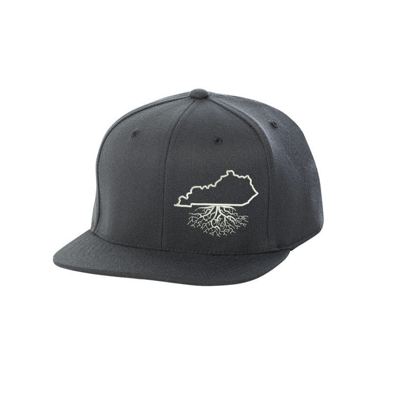 Kentucky FlexFit Snapback - Hats