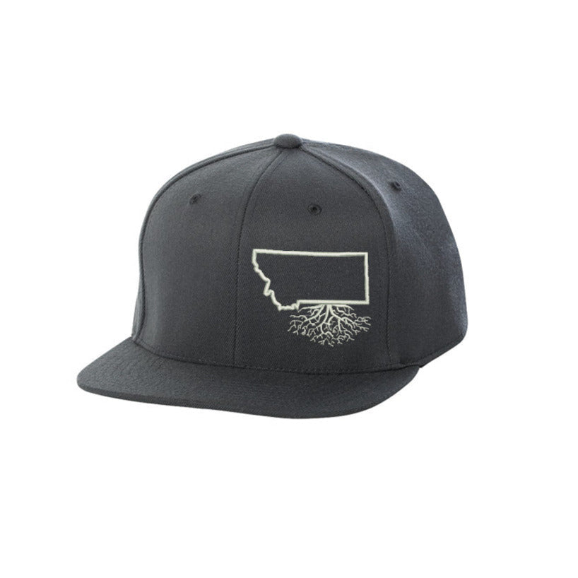 Montana FlexFit Snapback - Hats