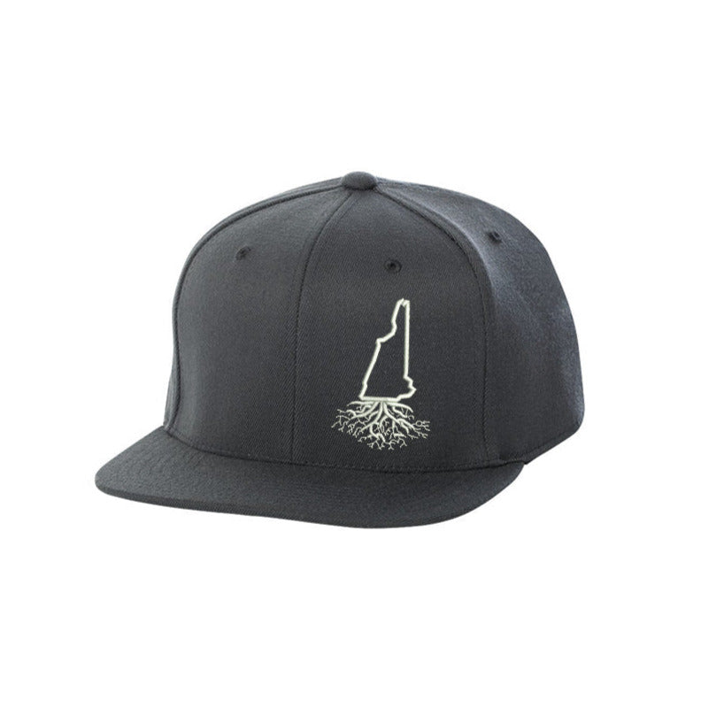 New Hampshire FlexFit Snapback - Hats