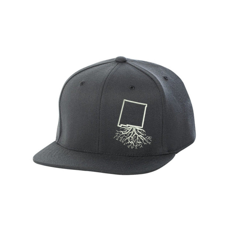 New Mexico FlexFit Snapback - Hats