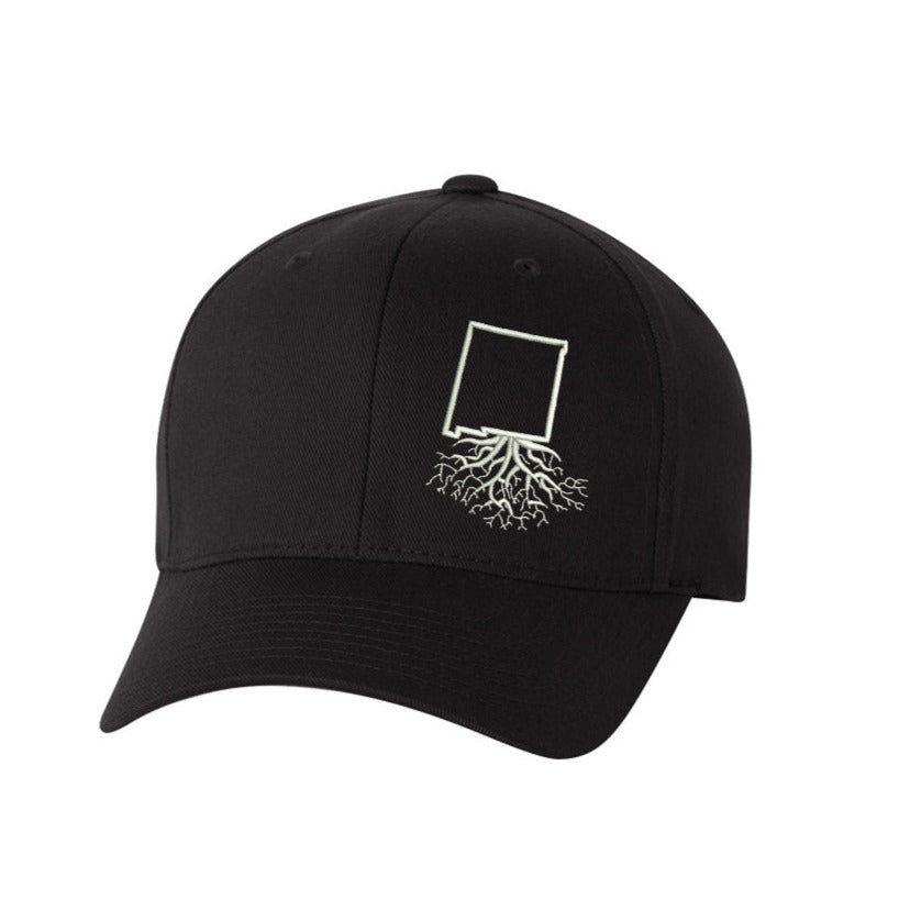 
                  
                    New Mexico Roots Structured Flexfit Hat
                  
                