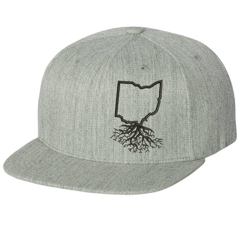 Ohio FlexFit Snapback - Hats