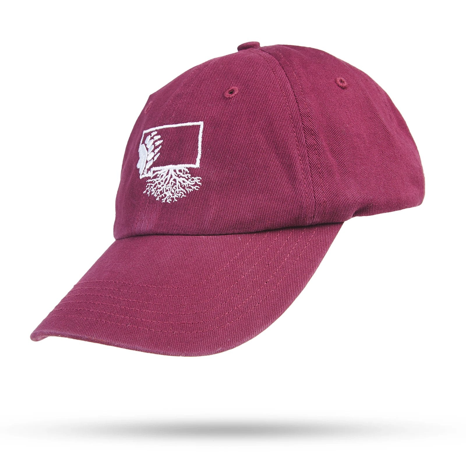 UM Griz Paw Dad Hat - WYR