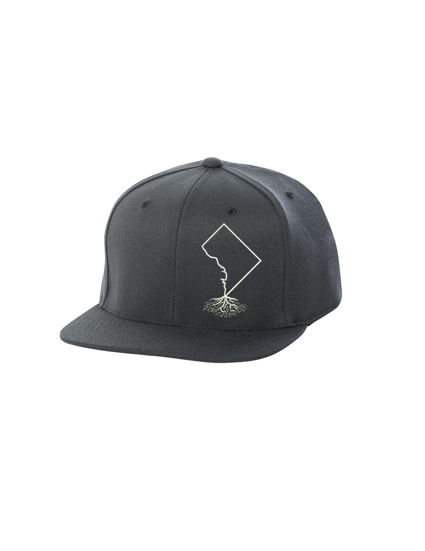 
                  
                    Washington DC FlexFit Snapback - Hats
                  
                