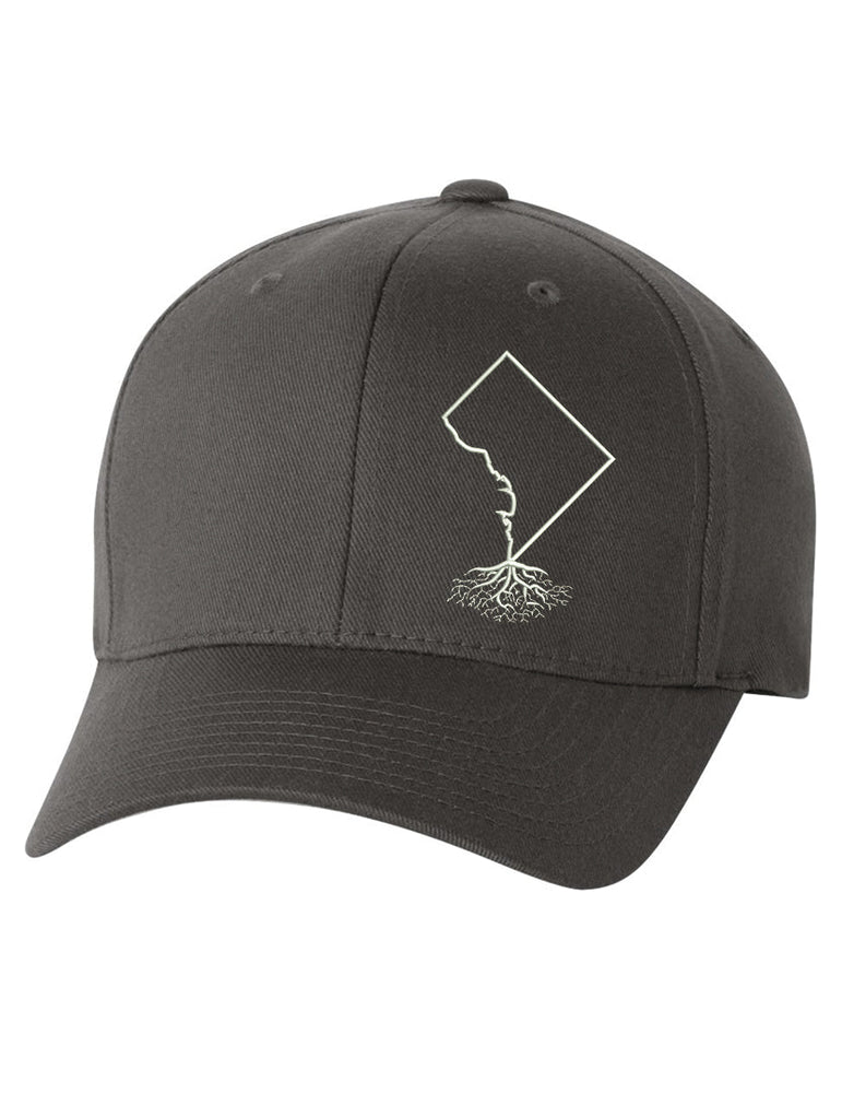 
                  
                    Washington DC Roots Structured Flexfit Hat - Hats
                  
                