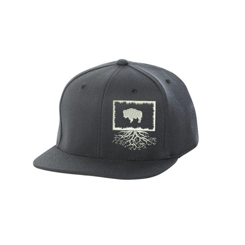 Wyoming FlexFit Snapback - Hats
